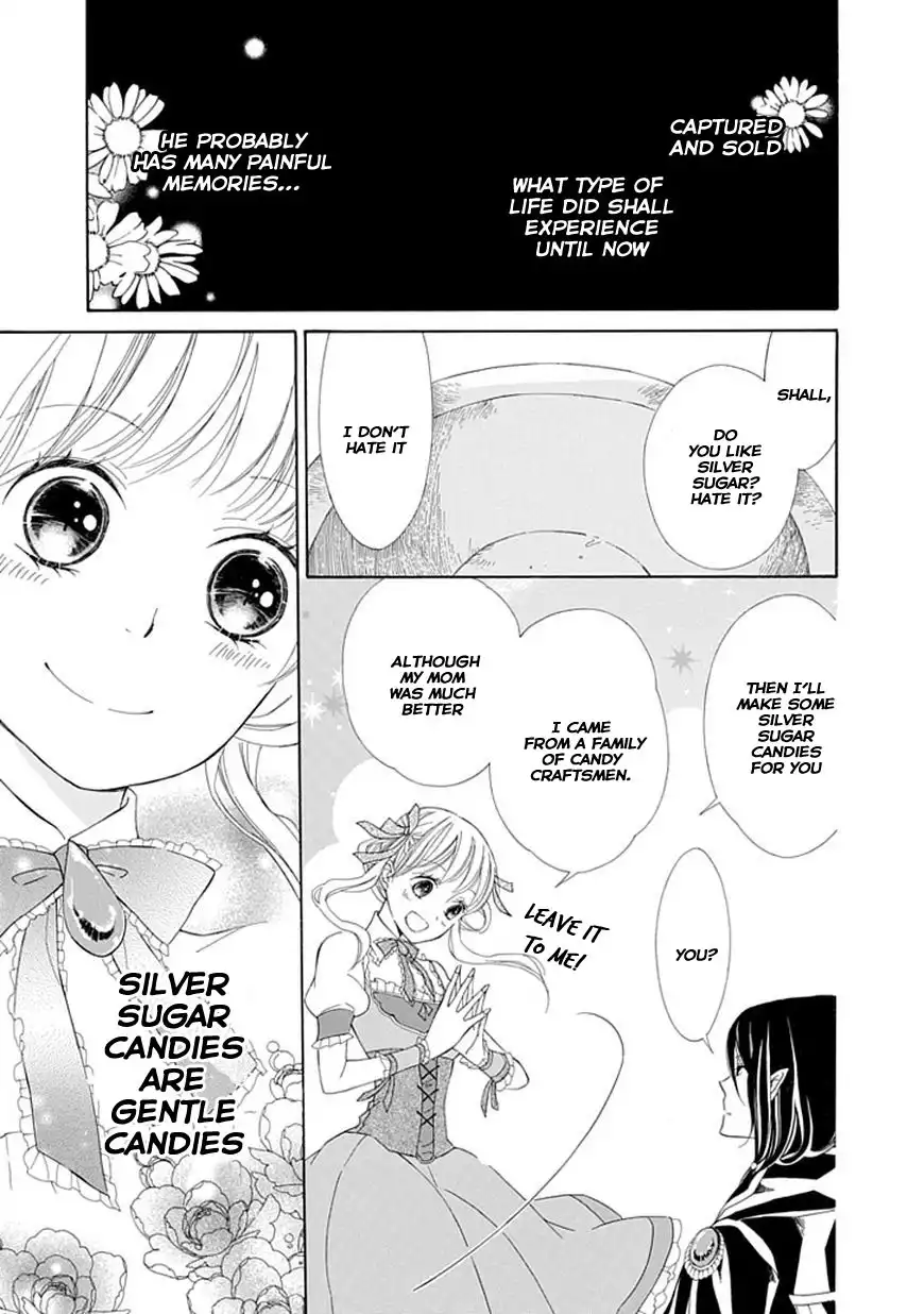 Ginzatoushi to Kuro no Yousei - Sugar Apple Fairytale Chapter 3 10